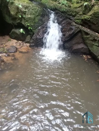 Imagem Área 331.540 mil m², Serra Negra município de Guaraqueçaba - PR (PERMUTA EM CURITIBA PR)