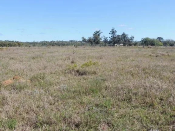 Imagem Terreno residencial fora de condomínio, Morro Grande / Viamão