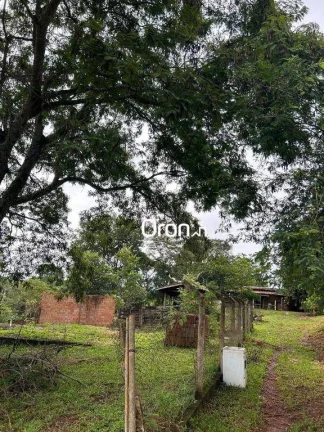 Imagem Chácara com 3 dormitórios à venda, 12000 m² por R$ 650.000,00 - Zona Rural - Nova Veneza/GO