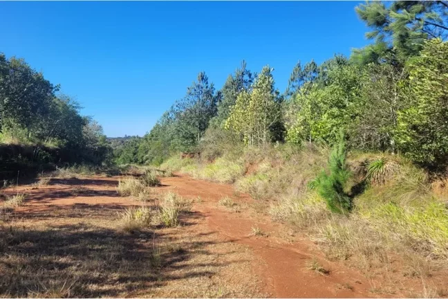 Imagem SLTR 6614 Lote 612541026-6 - Terreno à venda no bairro São Lucas - Viamão/RS