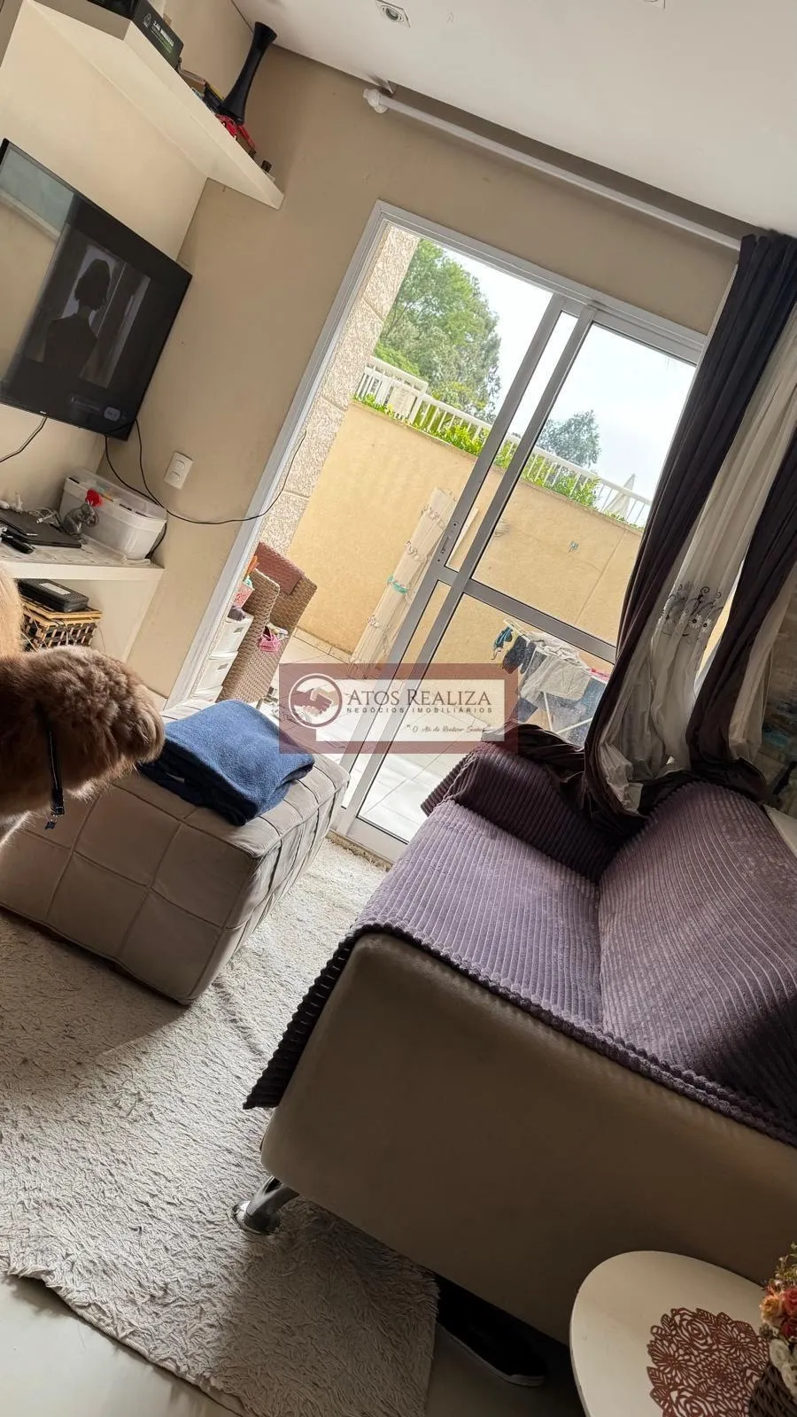 Imagem Aluguel de Apartamento em Vila Andrade SP | 3 Dorms, 1 Suíte