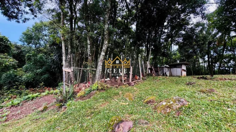 Imagem Chácara - Sítio com 2 Dormitorio(s) localizado(a) no bairro Padre Eterno Ilges em Santa Maria do Herval / RIO GRANDE DO SUL Ref.:1607