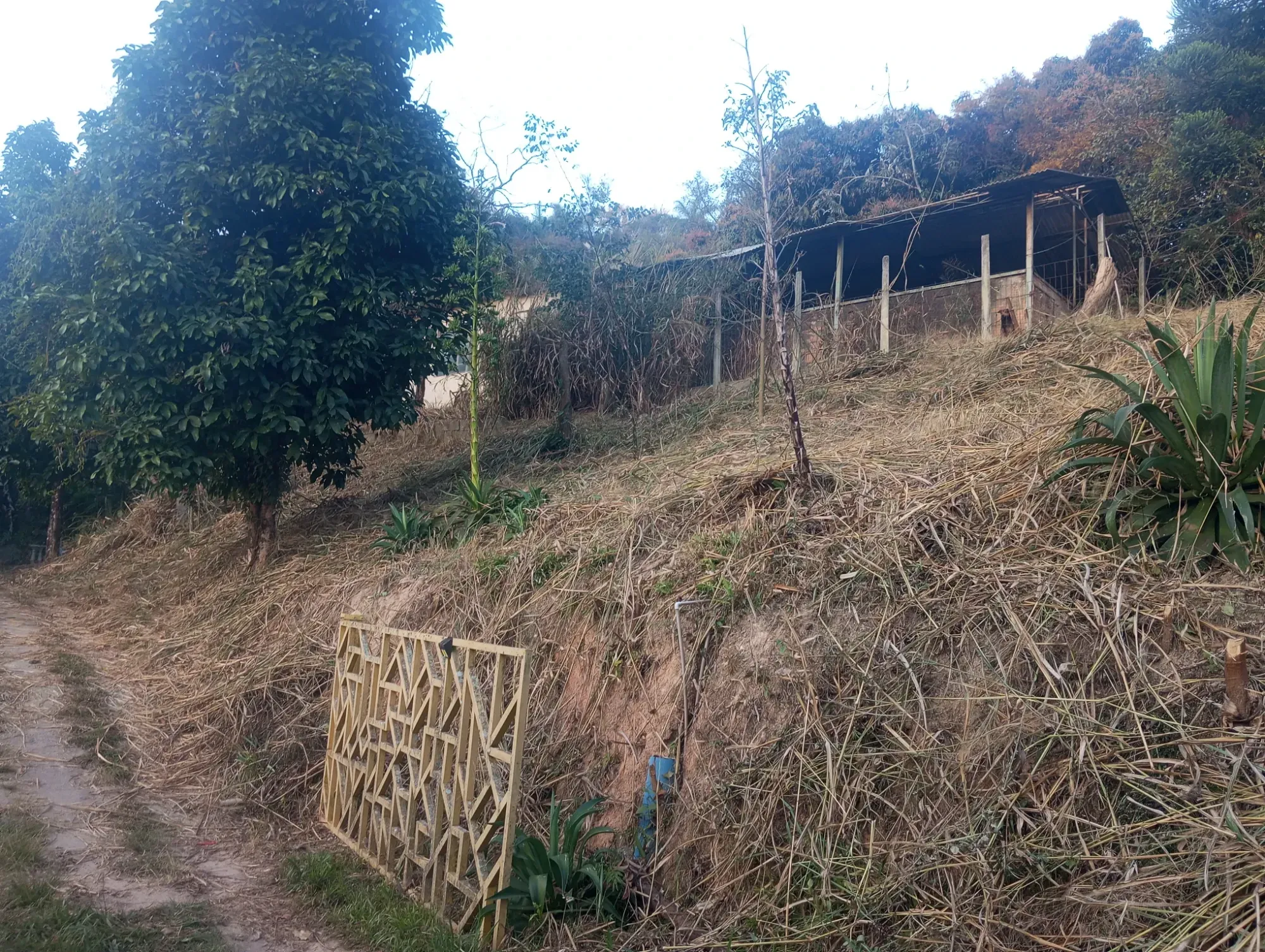 Imagem Chácara com 5 Quartos à Venda, 8.000 m² em Ravenópolis (Ravena) - Sabará