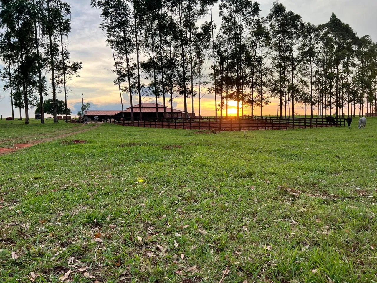 Imagem Chácara 20000m Umuarama-PR 344