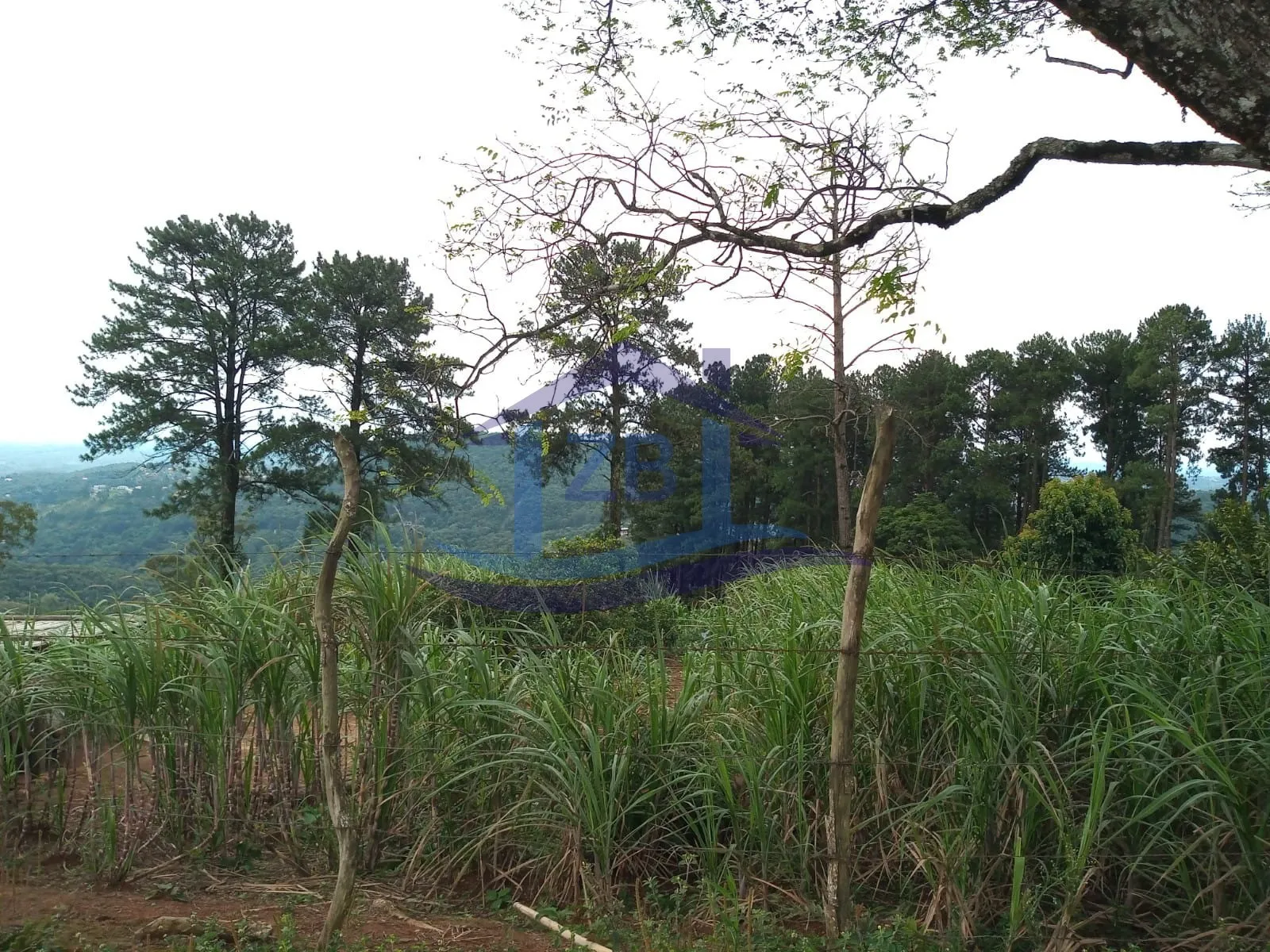Imagem TERRENO COMERCIAL em MAIRIPORÃ - SP, OLHO D'ÁGUA