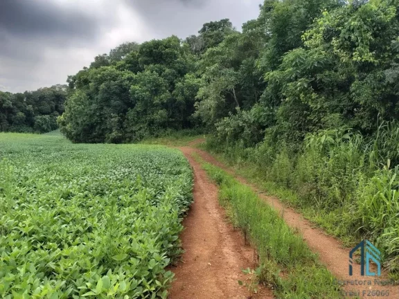 Imagem Terreno com 9,2 Alqueires, área verde ideal para plantio ou construção, em Campo Largo PR