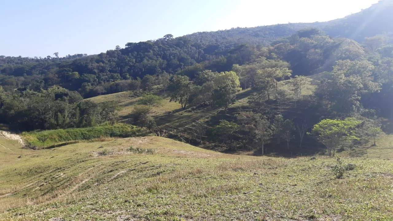 Imagem FAZENDA À VENDA - SÃO GONÇALO DO PARÁ 120 hectares de terra