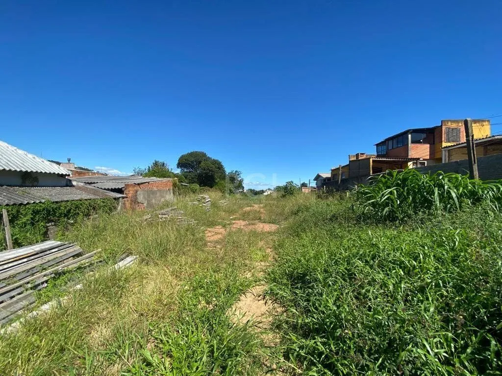 Imagem Terreno para Venda - 1205m², 0 dormitórios, Nonoai