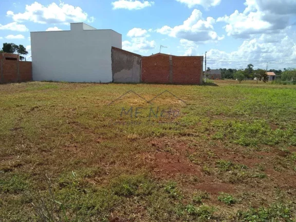 Imagem Terreno Padrão