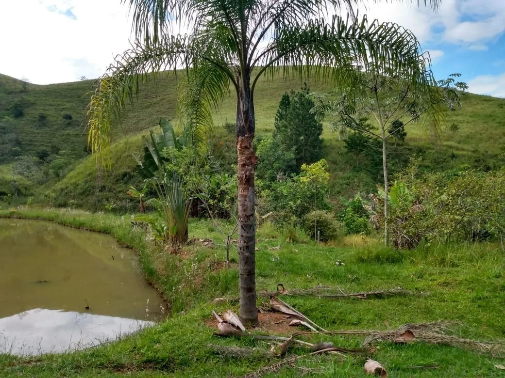 Imagem Chácara à venda 2 Quartos, 135000M², Zona Rural, Piquete - SP