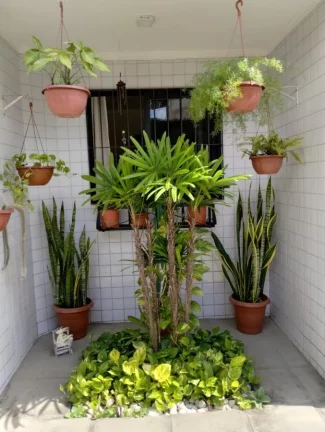 Imagem Casa para Venda em Recife, Cordeiro, 3 dormitórios, 1 suíte, 2 banheiros, 1 vaga