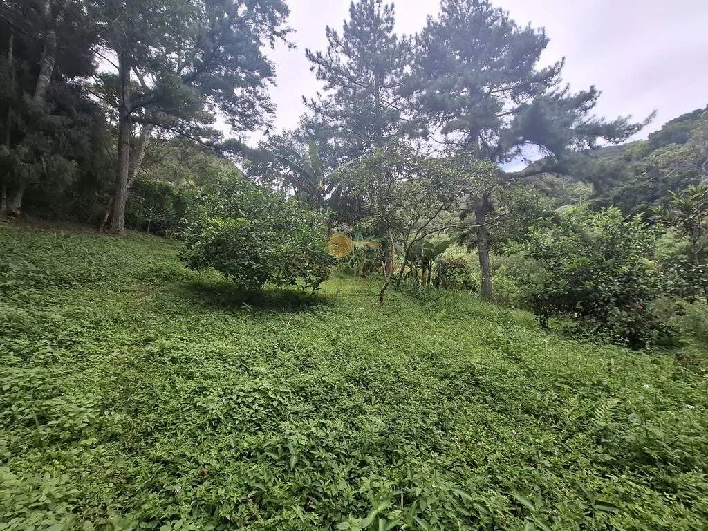 Imagem Terreno para Venda em Teresópolis / RJ no bairro Córrego das Pedras