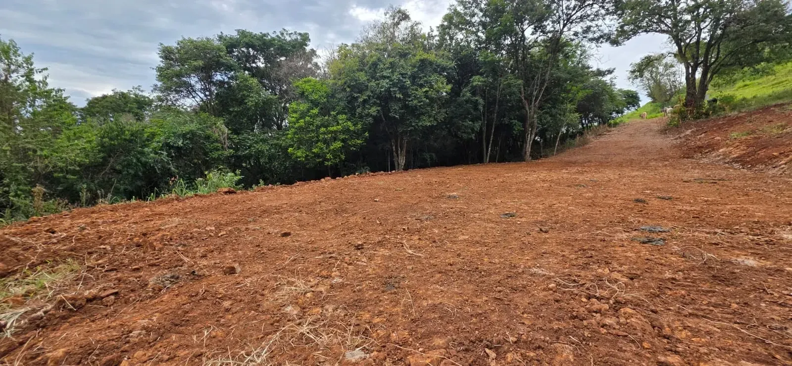 Imagem Chácara à Venda, 20.725 m² em Santa Tereza do Oeste - Santa Tereza do Oeste