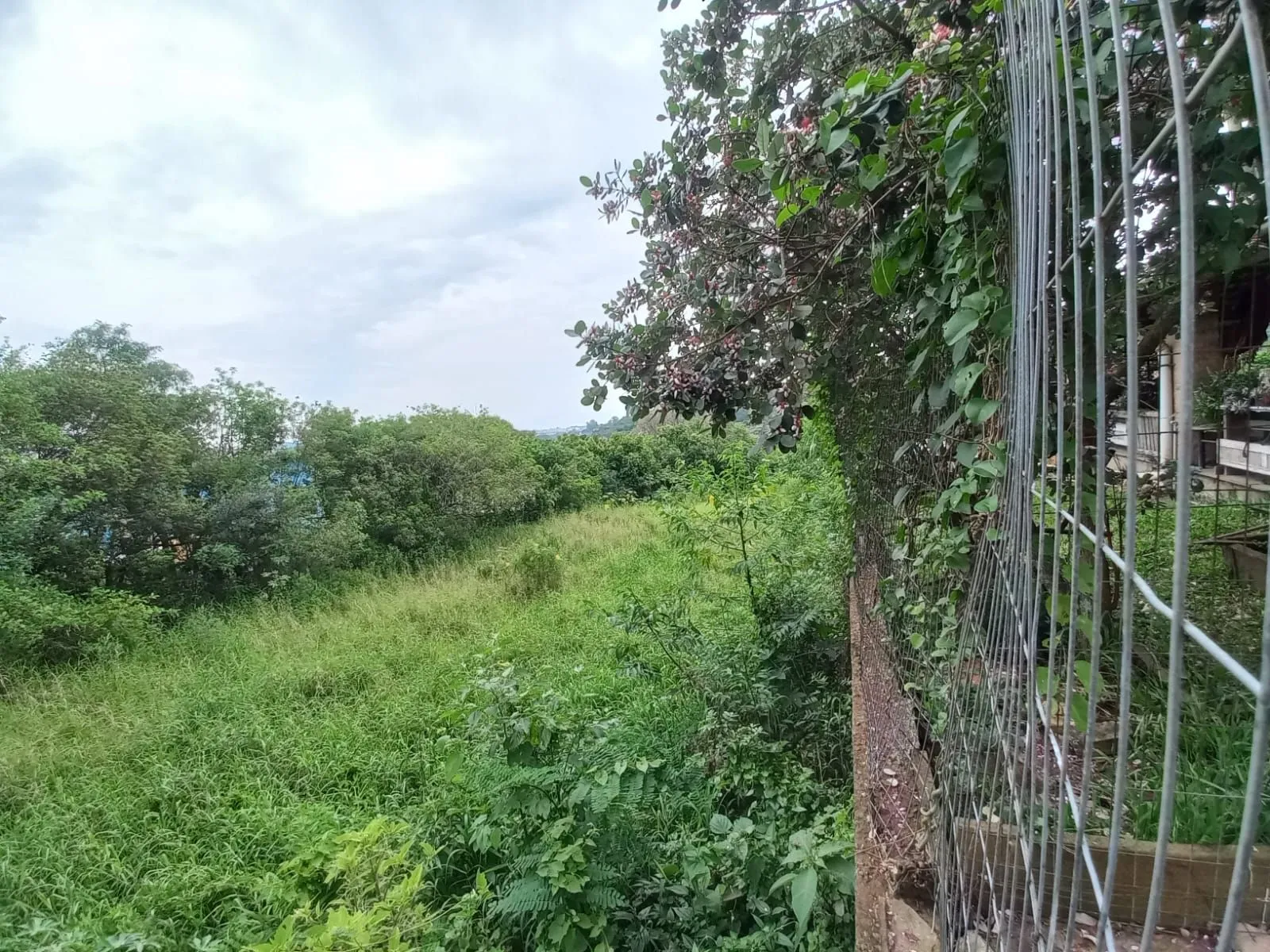 Imagem Terreno com Projeto Aprovado para 33 sobrados na Zona Sul de Porto Alegre