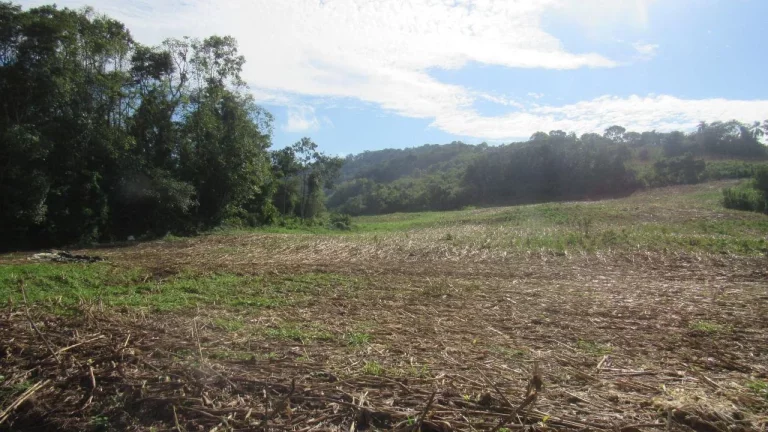 Imagem Área Agrícola para Venda em Concórdia, Barra do Pinhal