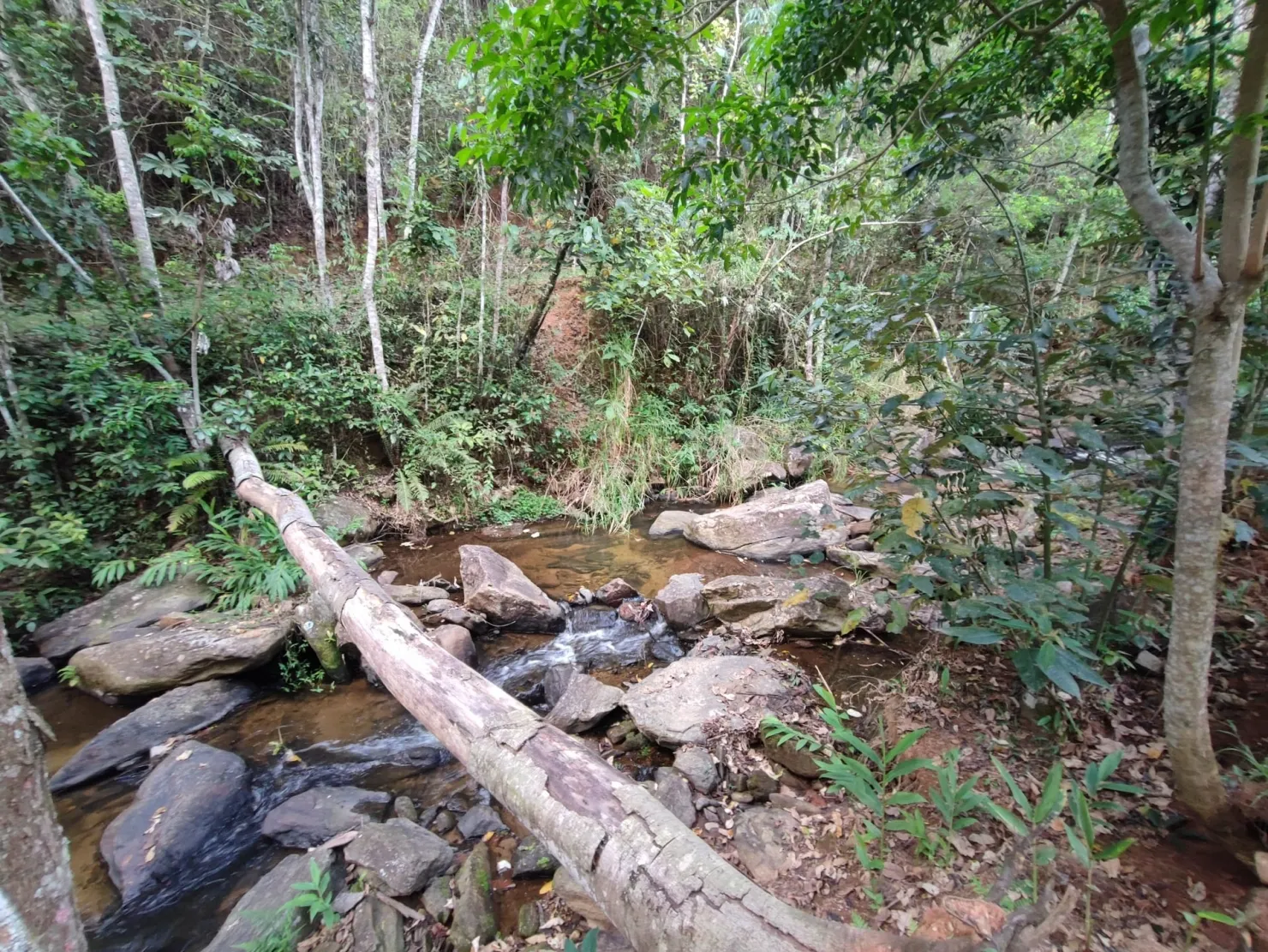 Imagem Chácara à venda 78000M², Zona Rural, Pindamonhangaba - SP