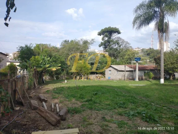Imagem Área Comercial, Residencial ou Industrial em Terra Preta