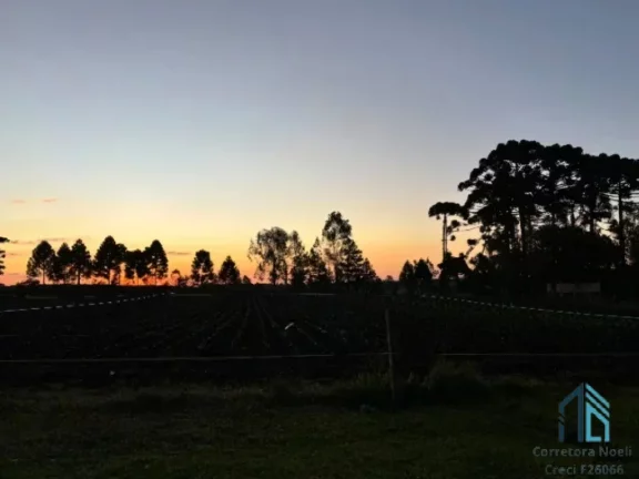 Imagem Chácara com toda Infraestrutura completa, Colônia Malhada em São José dos Pinhais PR