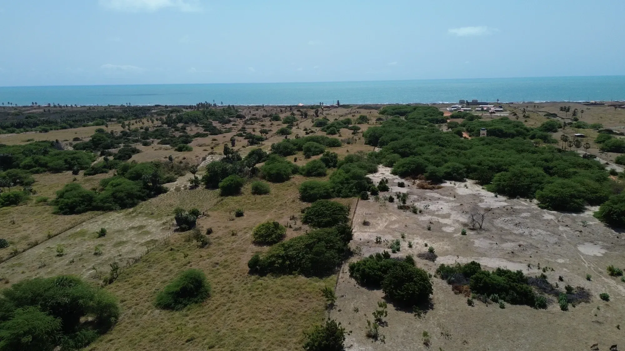Foto do imóvel: Área à Beira-Mar em Icapuí  CE  Oportunidade para Permuta