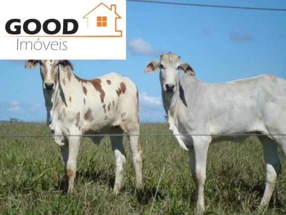 Imagem Fazenda RURAL em Silva Jardim - RJ, Silva Jardim