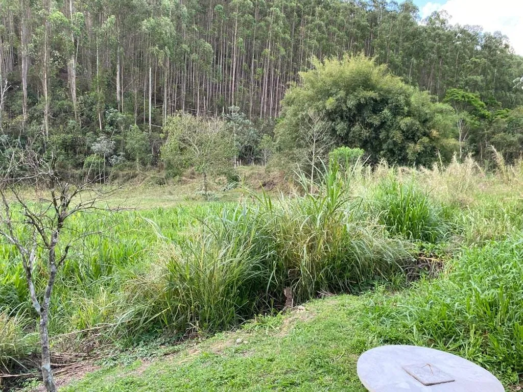 Imagem Comercial à venda 8677M², Zona Rural, Silveiras - SP