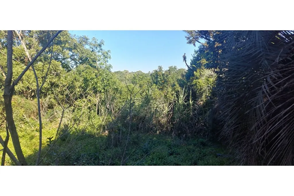 Imagem Fazenda em Aparecida