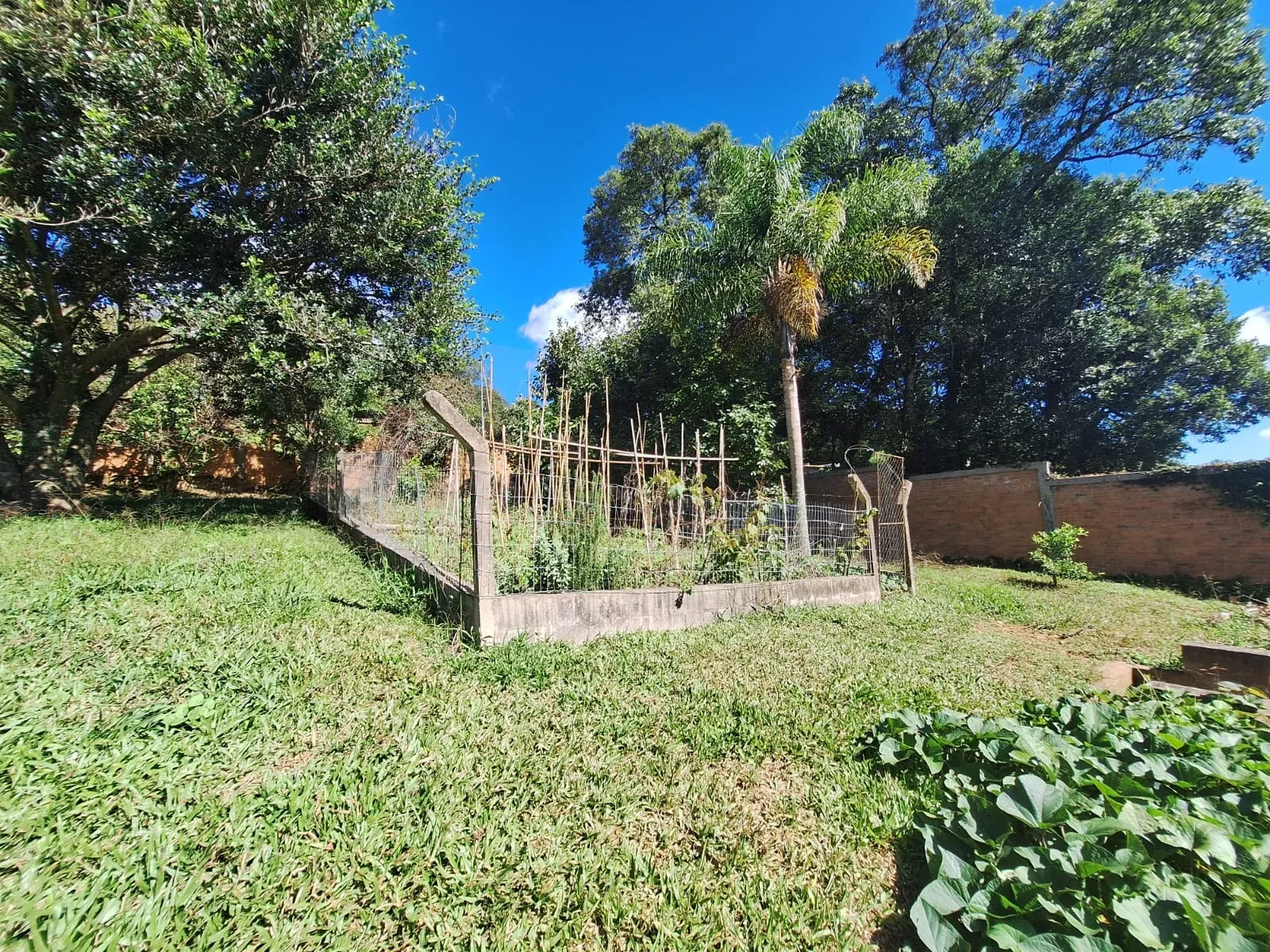 Imagem Casa de Condomínio com 3 Quartos à Venda, 80 m² em Pedancino - Caxias do Sul