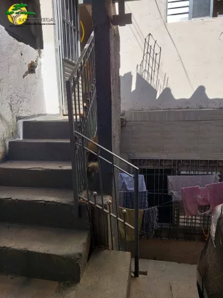 Imagem 3 CASAS PARA RENDA NO LAUZANE PTA - OPORTUNIDADE!