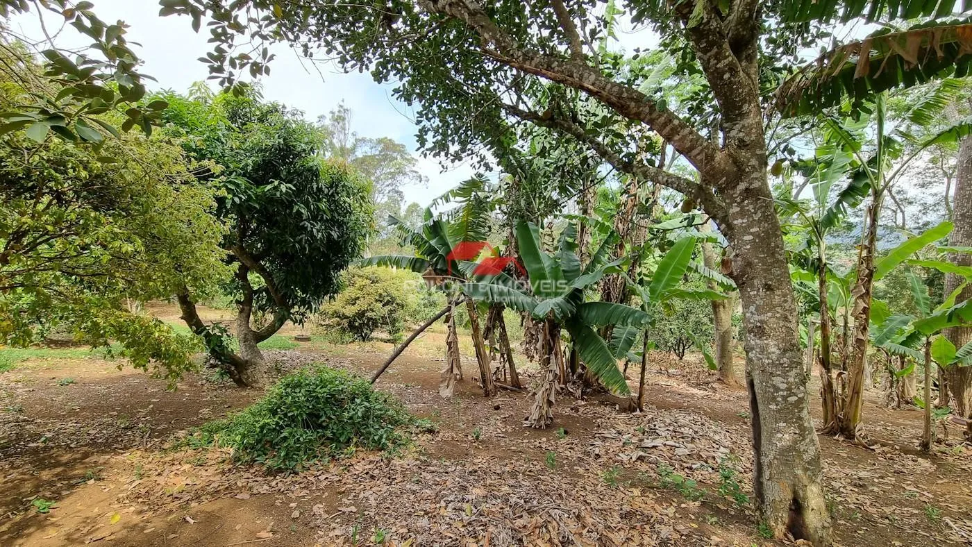 Imagem SÍTIO - BAIRRO VALE DO RIO CACHOEIRA - PIRACAIA