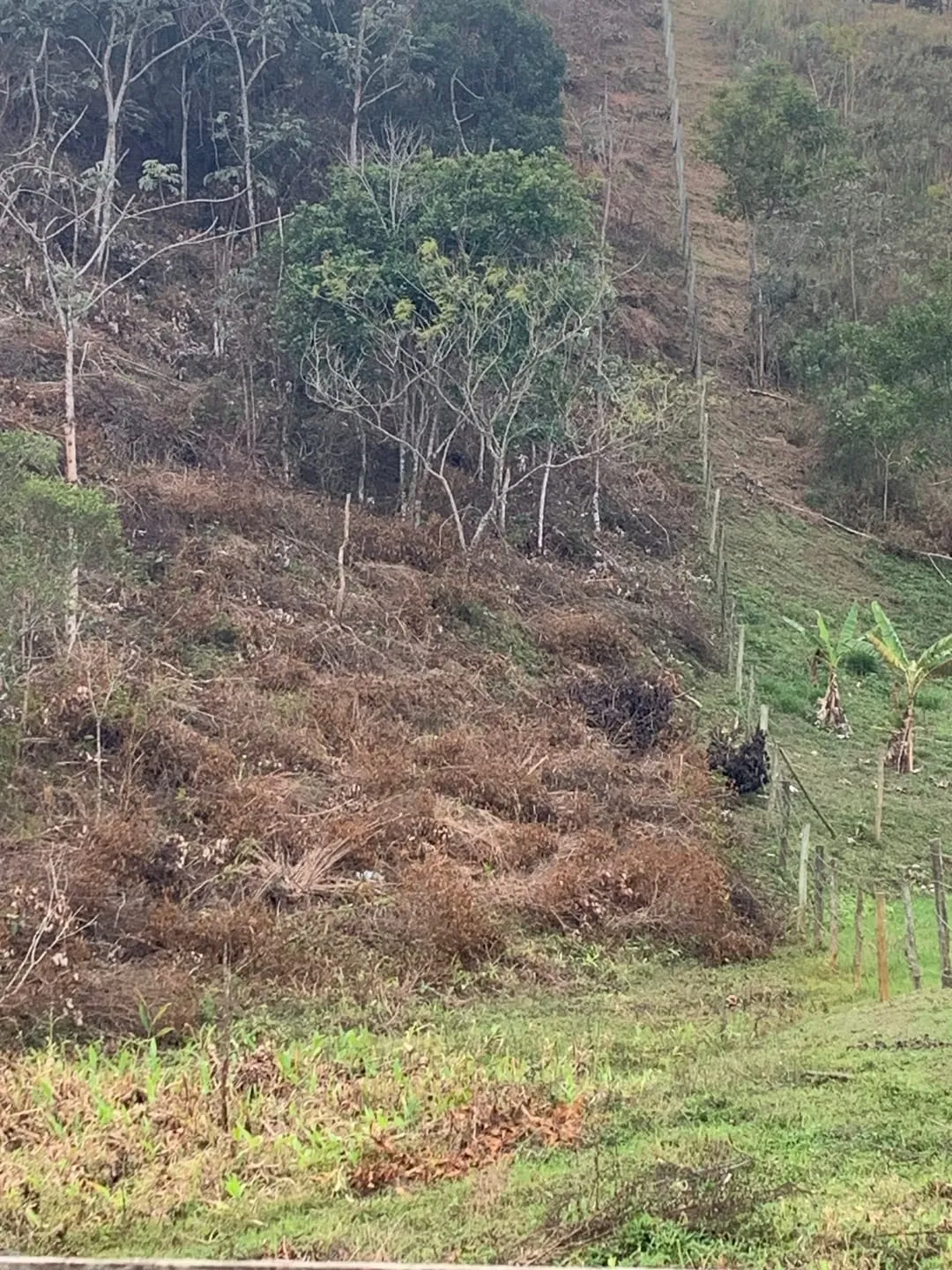 Imagem Terreno à venda 30000M², Mandú, Pindamonhangaba - SP