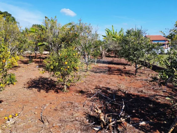 Imagem CHÁCARA JARDIM CANANÉIA