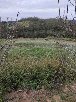 Imagem vende se chácara em Taiacupeba Mogi das cruzes