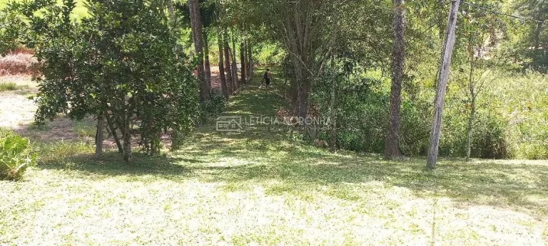 Imagem Chácara a venda