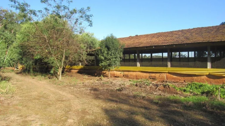 Imagem Área Agrícola para Venda em Lindóia do Sul, Linha Mimosa