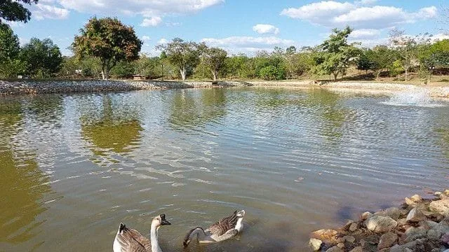 Imagem Casa à venda 3 Quartos, 1 Suite, 5 Vagas, 180M², Fazenda Itapecerica, Taubaté - SP | Quinta das Palmeiras