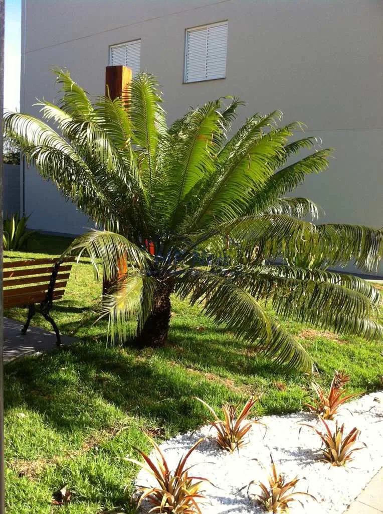 Imagem Apartamento Padrão