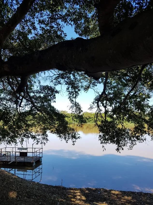 Imagem FAZENDA À VENDA - VÁRZEA DA PALMA (MG) 313 hectares de área total