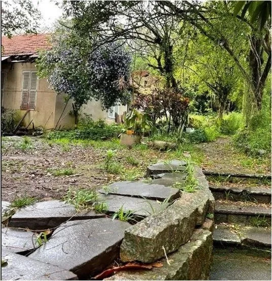Imagem Terreno em Tristeza