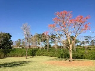 Imagem Mansão de Luxo na Quinta da Baroneza II: Casa em Condomínio com 8 quartos, 5 suítes, 2 salas e 1.150m² em Bragança Paulista-SP!