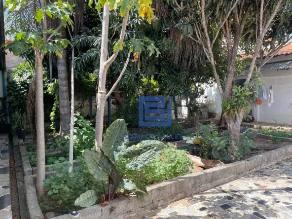 Imagem Casa térrea com garagem + edícula. Total 3 quartos, 3 banheiros, amplo quintal com árvores frutíferas.