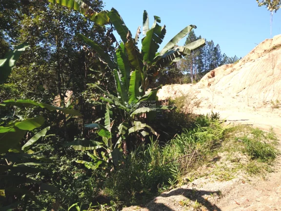 Imagem SÍTIO a VENDA, com 4.000m², com ESCRITURA, no bairro S. Valentim em Nova Trento. Com beira uma rio, de Nova Trento, podendo fazer trilha ecológica
