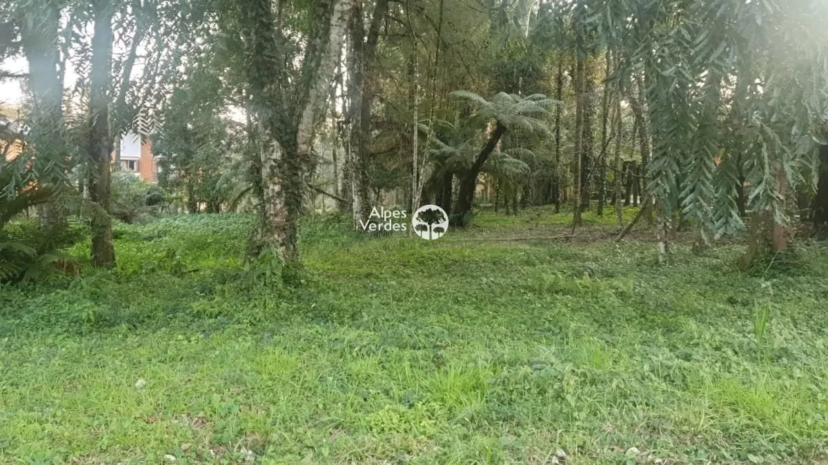 Imagem Vende-se Área com 3.995 m2 a cerca de 2 minutos da Rua Coberta