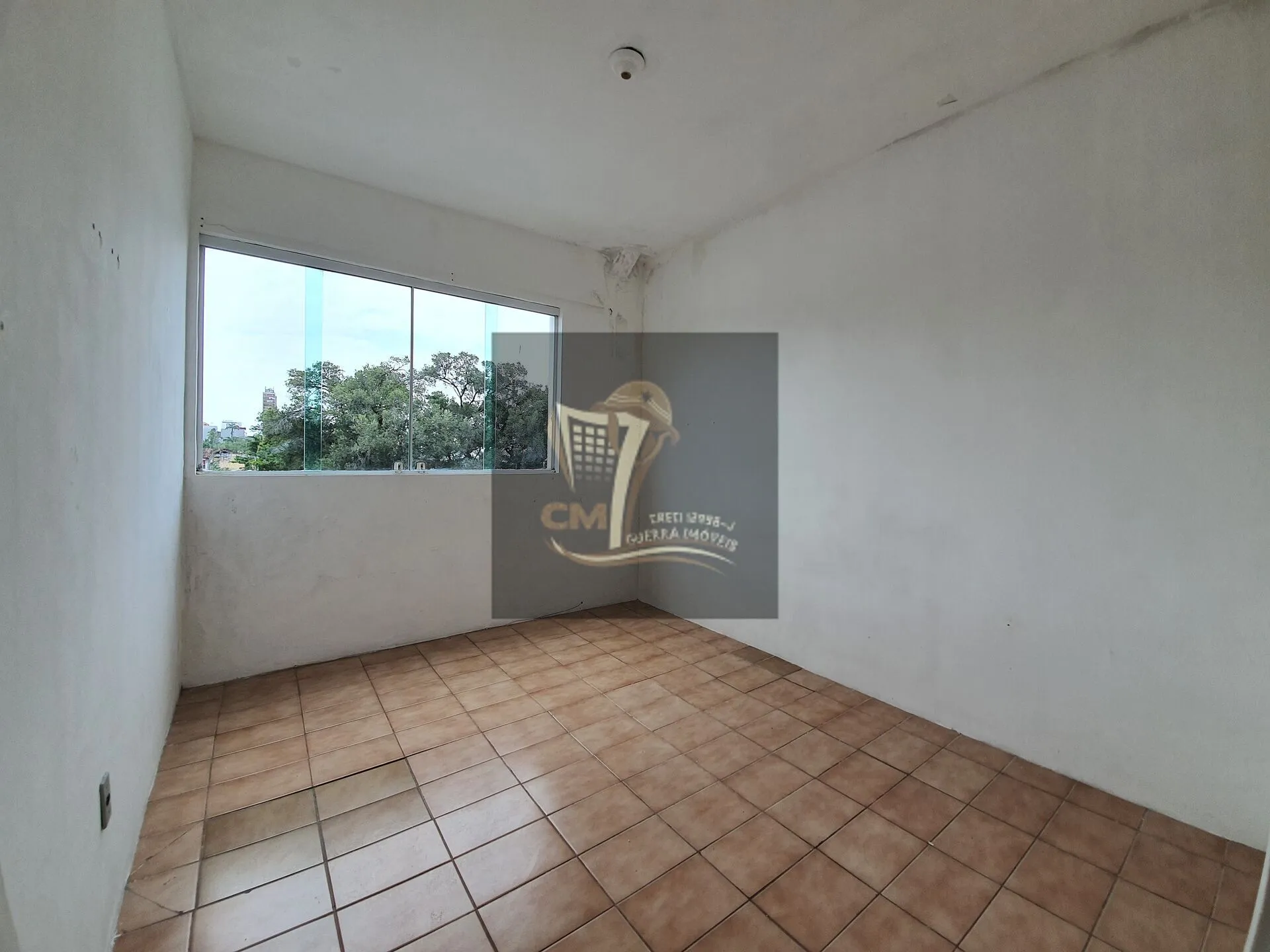 Imagem Tijuca