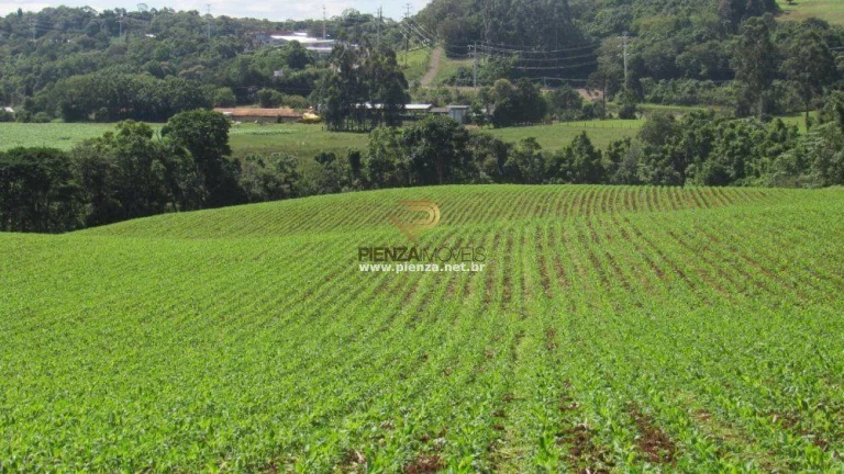 Imagem Área para Loteamento para Venda em Concórdia, São Cristóvão