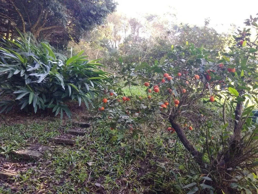 Imagem Terreno em Cascata