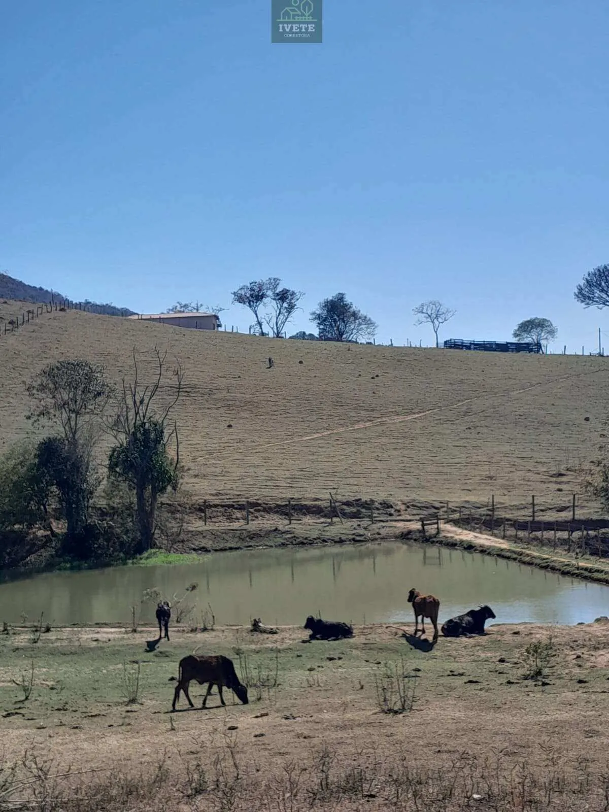 Terreno incrível para criação de animais e plantio em José Maria de Azevedo e Souza (esc)