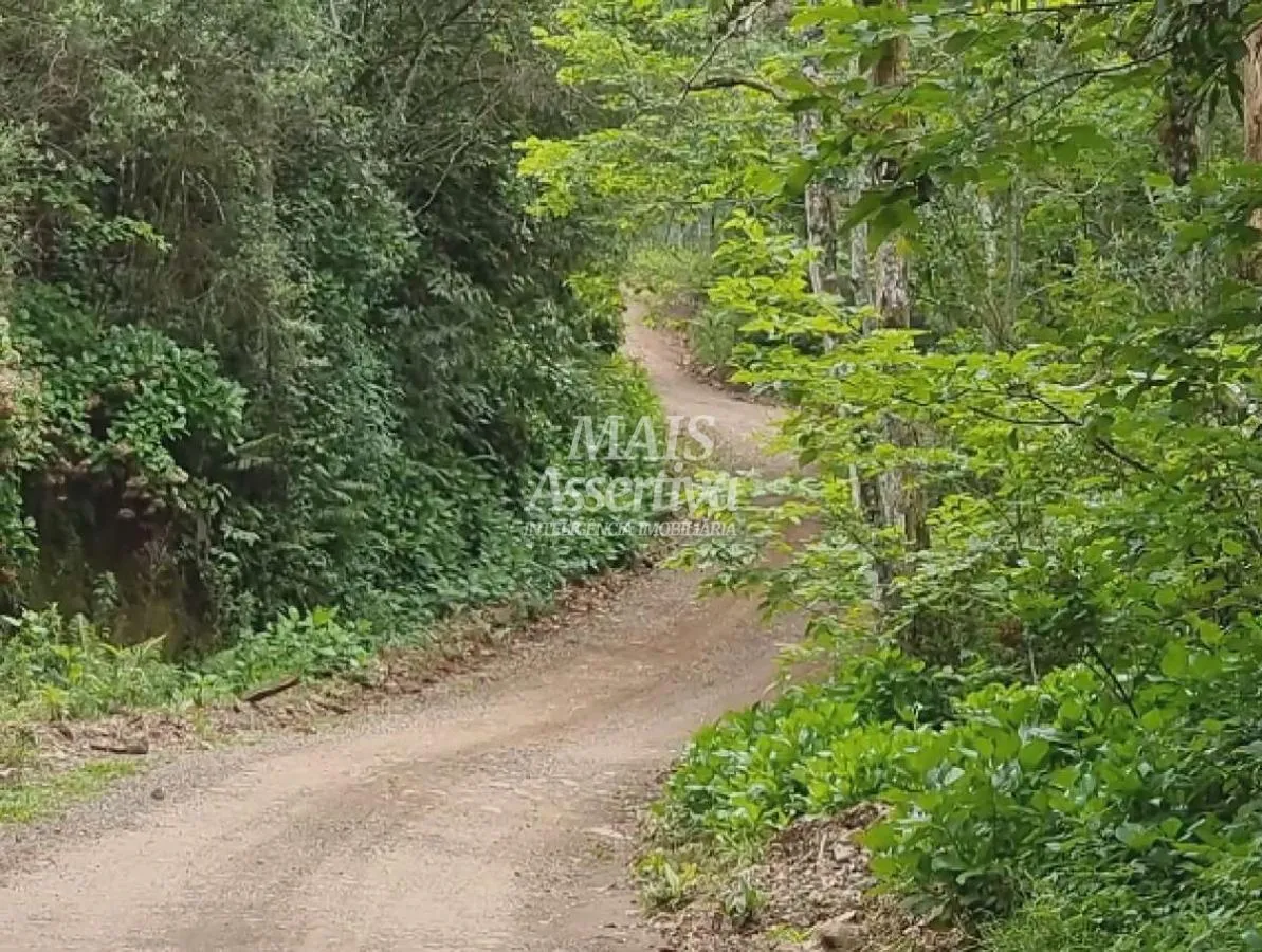 Imagem Sítio para Venda em São Francisco De Paula / RS no bairro Centro