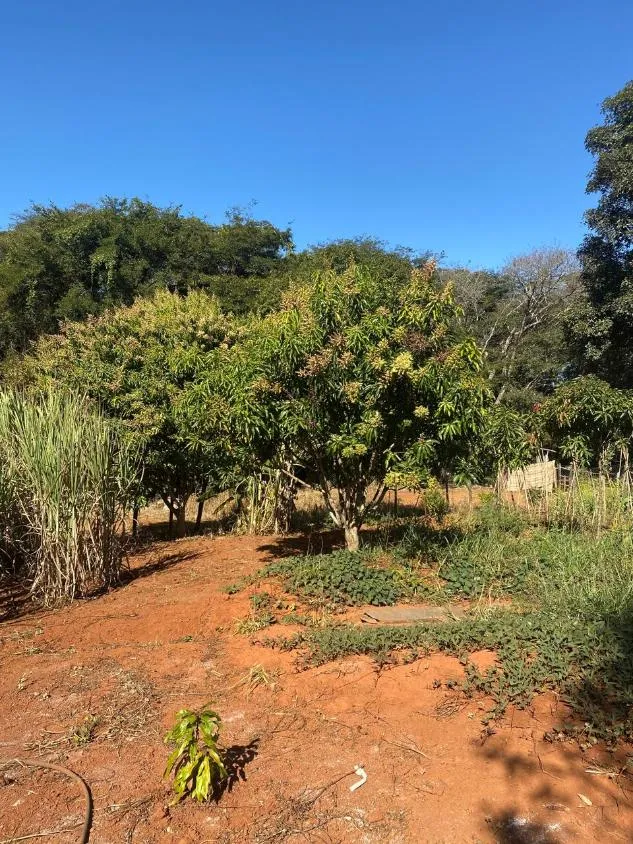Imagem Oportunidade em Lagoa Santa/MG: Terreno a venda de 13,1 Hectares