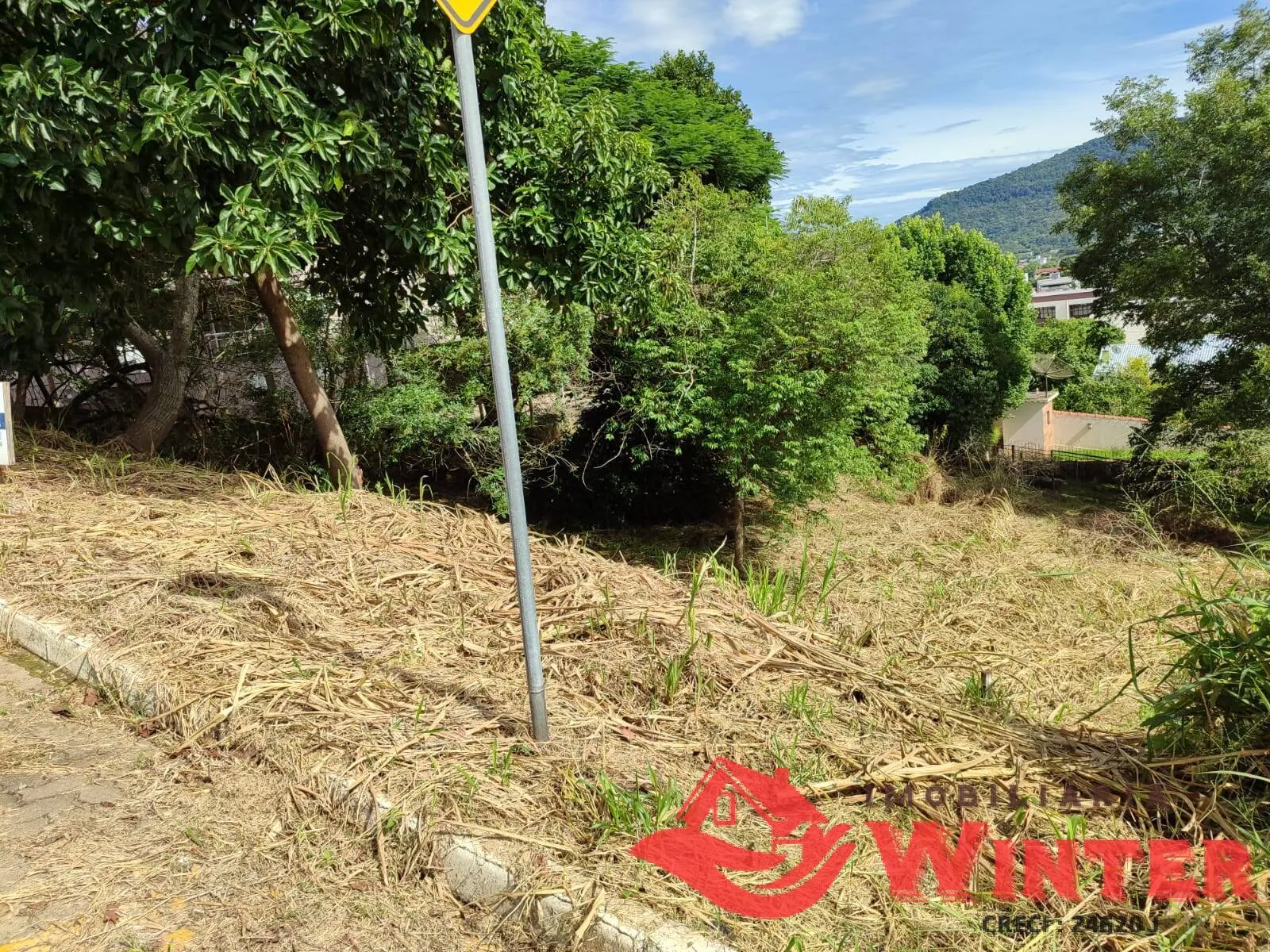 Imagem Dois terrenos com 744,00m² no bairro Matiel, Feliz.