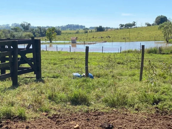 Imagem Sítio de 2 alqueires na região de Guarei/SP.